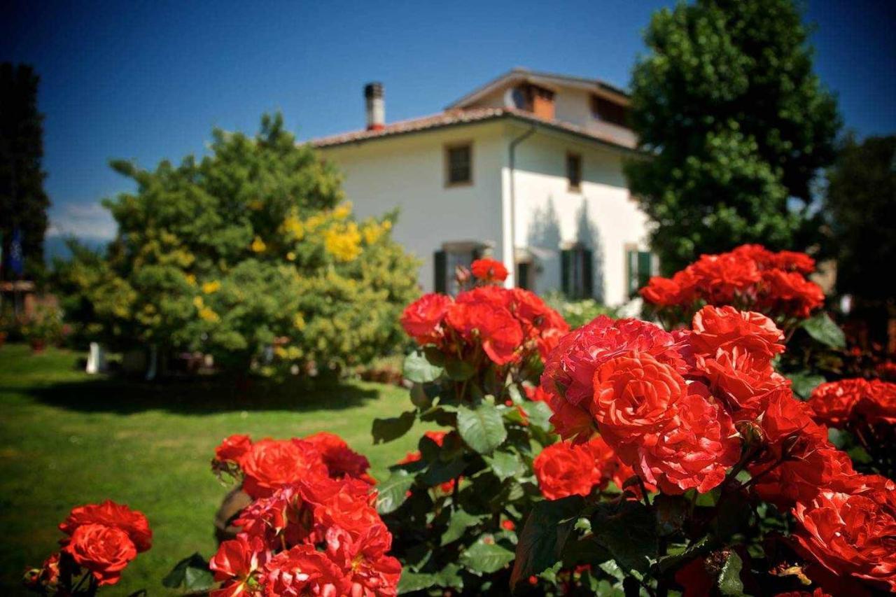 Villa Rossini Lucca Eksteriør bilde